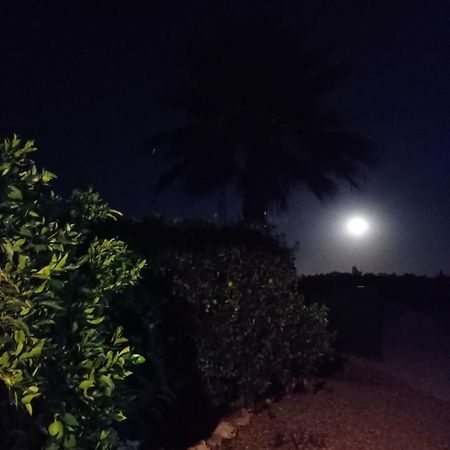 La Buganvilla, Descanso Entre Olivares Орначуелос Екстер'єр фото