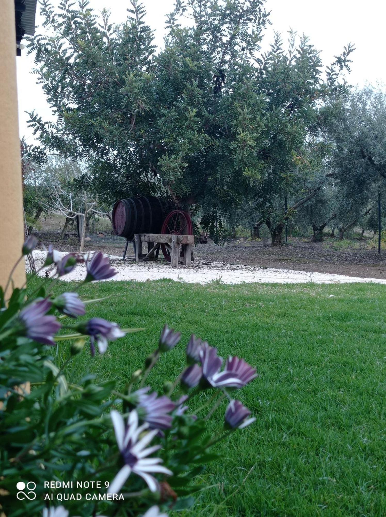 La Buganvilla, Descanso Entre Olivares Орначуелос Екстер'єр фото